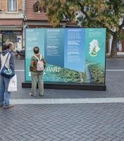 Kiállítás a Fertő-part megújulásáról